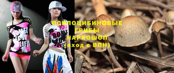 mdpv Арсеньев