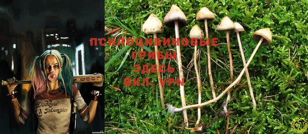 MESCALINE Балахна